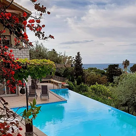 Arenaria L. Complex Villa