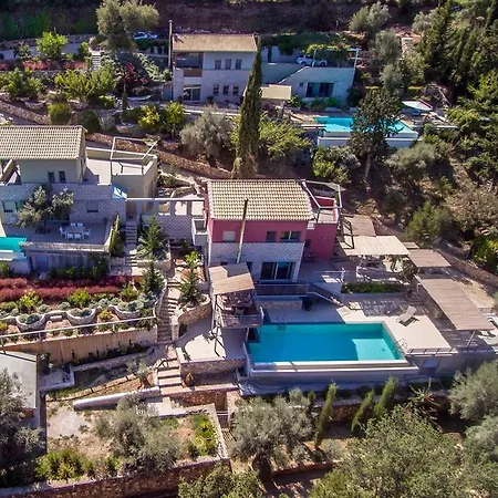 Arenaria L. Complex *